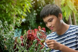 Young asian boy holds magnifying glass, looking through zoom lens to study pattern of houseplants and tiny insects which lived and crawled on plants during his free times, soft and selective focus. photo