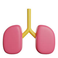 Lungs Organ Body png