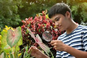 Young asian boy holds magnifying glass, looking through zoom lens to study pattern of houseplants and tiny insects which lived and crawled on plants during his free times, soft and selective focus. photo