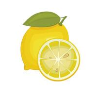 Lemons isolated vector illustration. Fruits colorful illustrations isolated on white background.  Fruit collection.