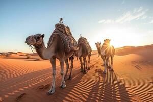 árabes con camellos excursión en el Sáhara Desierto con guiado beréber dubai excursión en Mañana. amanecer. generativo ai. foto