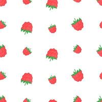 Seamless pattern of raspberry berries. Summer background with berries wallpaper. vector