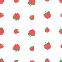 Seamless pattern of raspberry berries. Summer background with berries wallpaper. vector