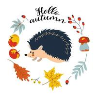 Hello autumn. Cartoon hedgehog, hand drawing lettering. Card with leaves, autumn elements and cute forest animal on white background.Design for cards, print, poster. vector