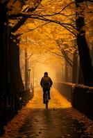 As the golden leaves fall a solitary cyclist navigates the misty streets capturing the melancholic allure of late autumn photo