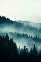 A serene mist-engulfed forest in November background with empty space for text photo