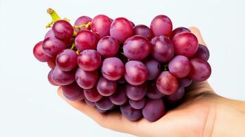 A hand holding a bunch of ripe grapes symbolizing the peak season of wine harvesting isolated on a white background photo