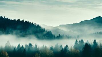 A serene mist-engulfed forest in November background with empty space for text photo