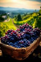 A basket filled with freshly harvested grapes capturing the essence of a bountiful wine season photo