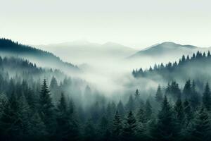 A serene mist-engulfed forest in November background with empty space for text photo