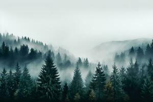 A serene mist-engulfed forest in November background with empty space for text photo