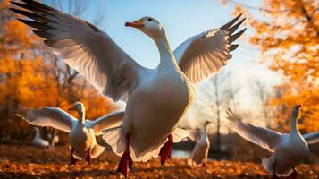 un rebaño de gansos altísimo encima dorado otoño hojas simbolizando el anual migración de fauna silvestre durante otoño foto