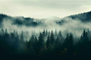 A serene mist-engulfed forest in November background with empty space for text photo