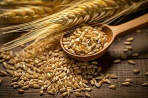 Ears of Wheat, Wheat ears and bowl of wheat grains on brown wooden background photo