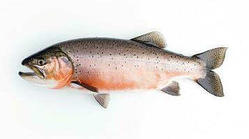 A Salmon fish isolated on white background. Salmon fish. Generative Ai photo