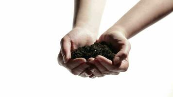 Man's hands support woman's hands with soil video