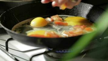 Egg frying in a pan Adding tomato slices video