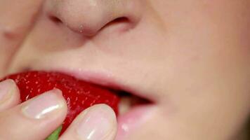 Beautiful pink lips with strawberry video