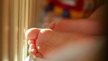Baby's foot Closeup Sunlight video
