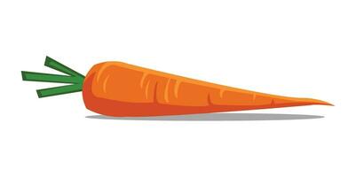 vector illustration carrot