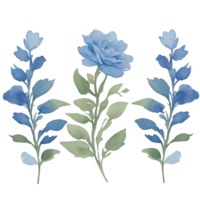 blue rose petals watercolor png