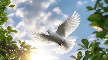 A white dove carrying leaf branch on blue sky air with clouds and sunbeams. Freedom concept and international day of peace. Generative Ai photo