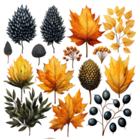 Set of watercolor autumn fall orange flowers and green leaves elements, isolated objects on a transparent background, Ai generative png