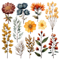 Set of watercolor autumn fall orange flowers and green leaves elements, isolated objects on a transparent background, Ai generative png