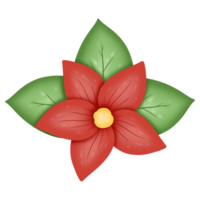 Poinsettia Christmas Star png