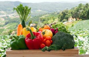 Wooden crate filled with fresh organic vegetables photo