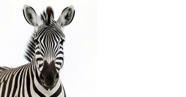 A zebra isolated on a white horizontal background with space for text. Generative AI photo