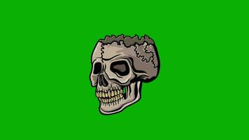 animated gothic halloween skull on chroma key video