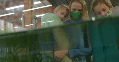 madre con niños mirando a acuario plantas en el tienda video