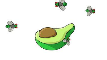 animatie van een avocado omringd door vliegt video