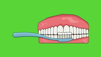 vert écran animation de les dents étant brossé video