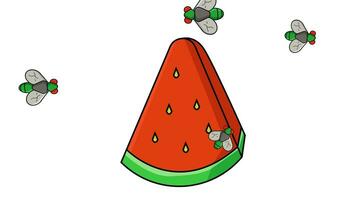 Animation of a piece of watermelon being surrounded by flies video