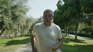 persona que practica jogging corriendo en el parque video