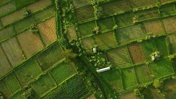 paysage ferme drone Haut vue vidéo video