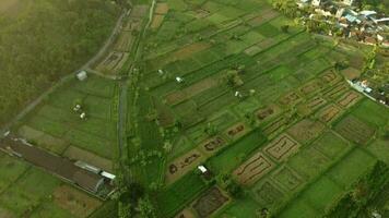 ferme et village vue de Haut vidéo video