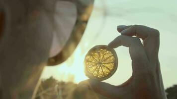 laranja fatia dentro a luz do dourado pôr do sol video