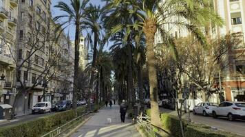 Valencian cityscape with tree-lined walkway, Spain video