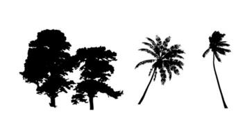 Set of tree silhouette on white background vector