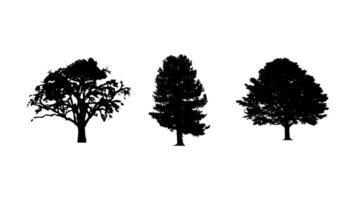 Set of tree silhouette on white background vector