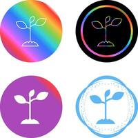 Plantation Vector Icon