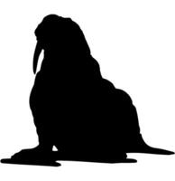 Walrus silhouette vector