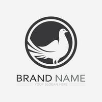 birds and wing logo animal vector icon fly design illustration template graphic