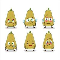 Slice of squash cartoon character with sad expression vector