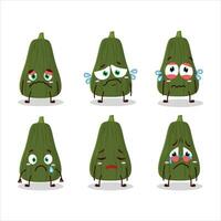 Squash cartoon in character with sad expression vector