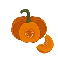 Sliced Orange Pumpkin Vector Illustration Logo