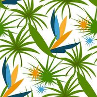 Strelitzia pattern with tropical leaves on a white background and abstract thorns. Botanical texture with flowers. Flat vector illustration with yellow-blue flowers. printing on textiles and paper.